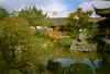 chinesegarden2.jpg (29212 bytes)