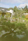 chinesegarden4.jpg (22201 bytes)