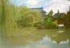 chinesegarden5.jpg (21133 bytes)