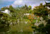 chinesegarden.jpg (28886 bytes)