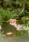 crystalgarden1.jpg (29858 bytes)