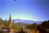 mountainview9.jpg (18221 bytes)