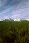 mountainviewbest2.jpg (18157 bytes)