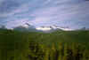 mountainviewbest.jpg (19830 bytes)