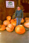 pumpkinssteve.jpg (22415 bytes)