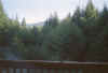 viewfromlogcabin.jpg (17569 bytes)