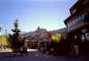 whistler10.jpg (19944 bytes)