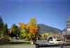 whistler11.jpg (22101 bytes)