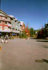 whistler14.jpg (19603 bytes)