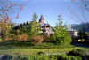 whistler.jpg (33383 bytes)